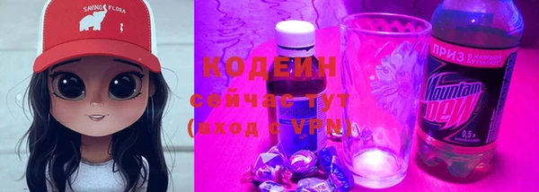 прущие грибы Алзамай
