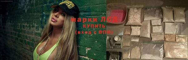 хмурый Алексин
