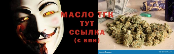 гашик Алексеевка
