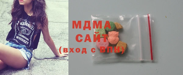 хмурый Алексин