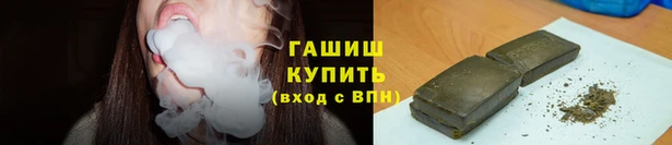 прущие грибы Алзамай