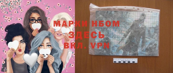 прущие грибы Алзамай