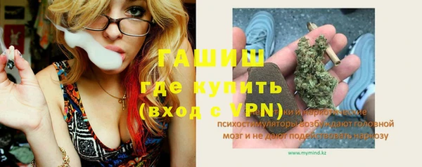 прущие грибы Алзамай