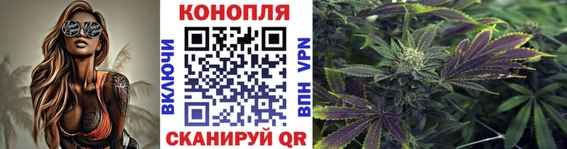 Марихуана Amnesia  Устюжна 